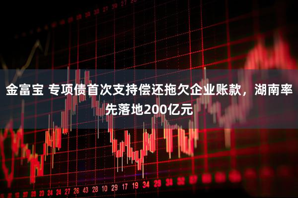金富宝 专项债首次支持偿还拖欠企业账款，湖南率先落地200亿元